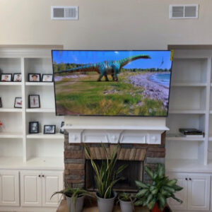 TV mounting in Orlando